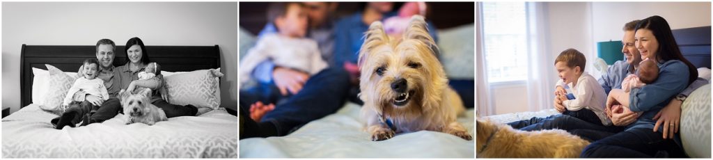atlanta newborn photographer