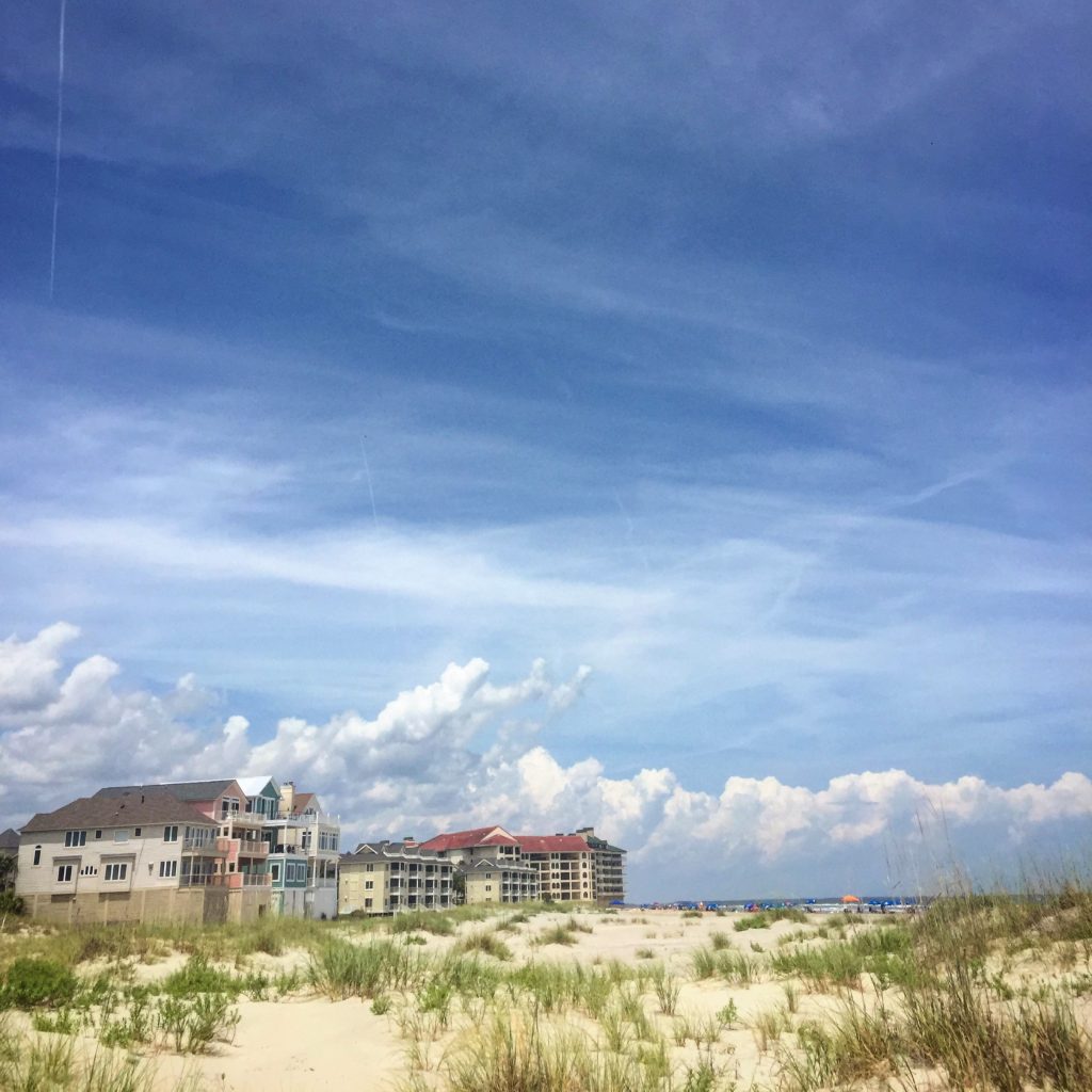 wild dunes - isle of palms, sc