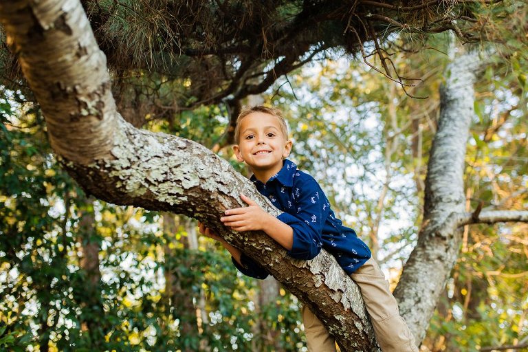 little boy laying on a tree branch.